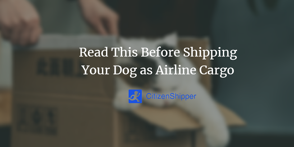 Read This Before Shipping Your Dog as Airline Cargo