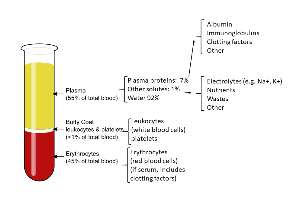 Components of blood- Plasma, WBCs, RBCs