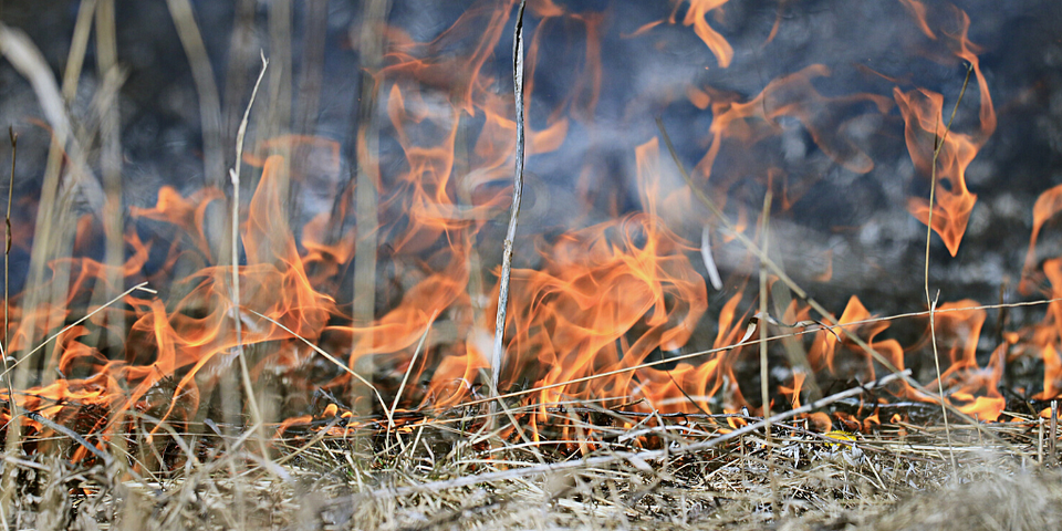 Grass fire-”The Childhood-Eating Fire” by “Arthur G. Hernandez”