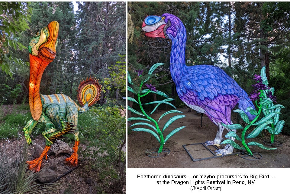 two feathered dinosaurs