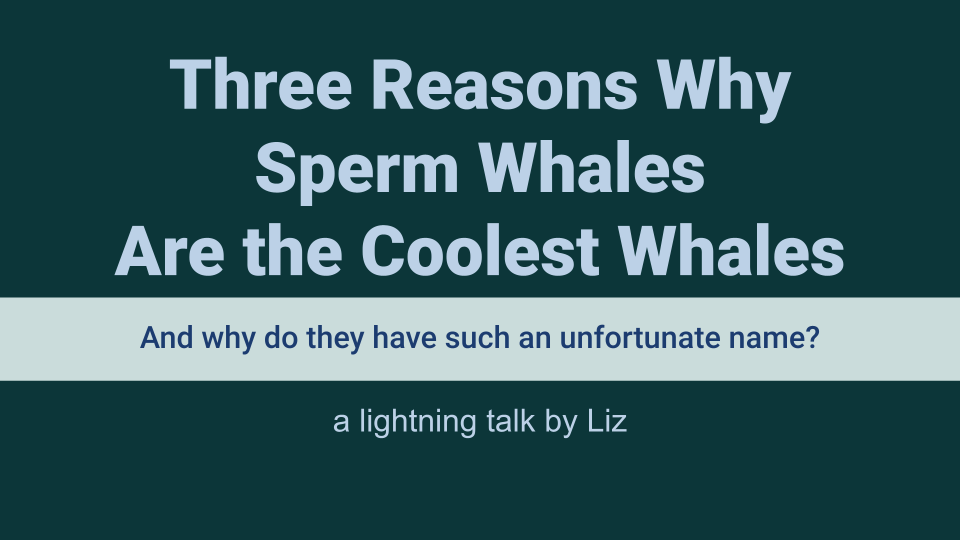 The title card of a slide deck with the title “Three Reasons Why Sperm Whales Are the Coolest Whales” with the subtitle “And why do they have such an unfortunate name?”