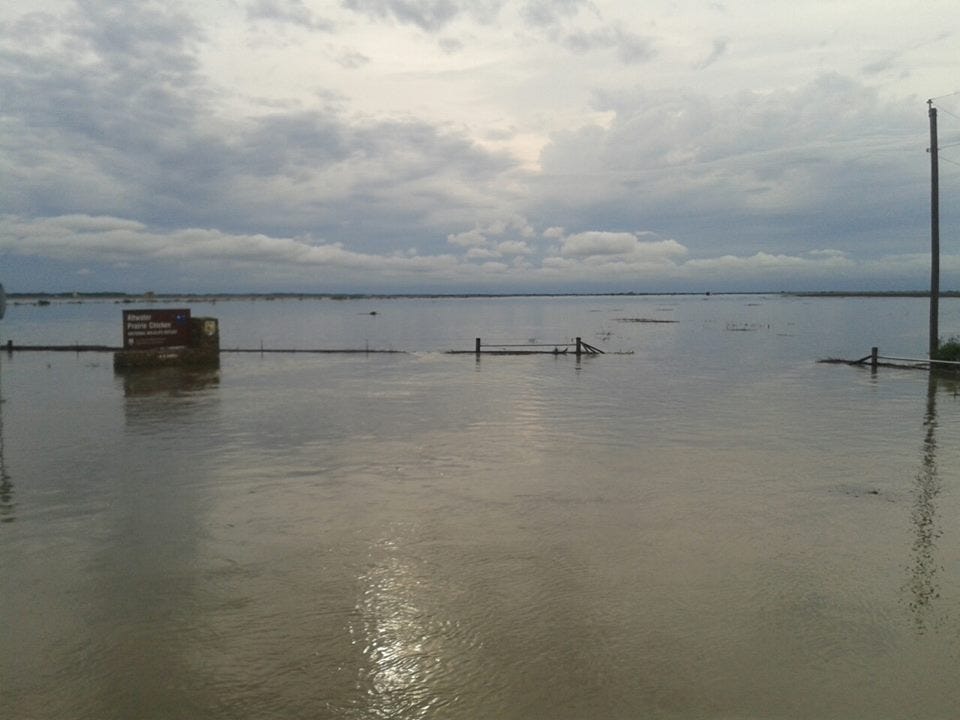 a massive flooded plain with refuge signs and tops of fences visible above the water