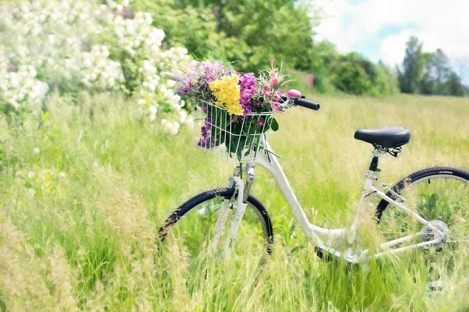 A bicycle with a basket of flowers sitting in a meadow.