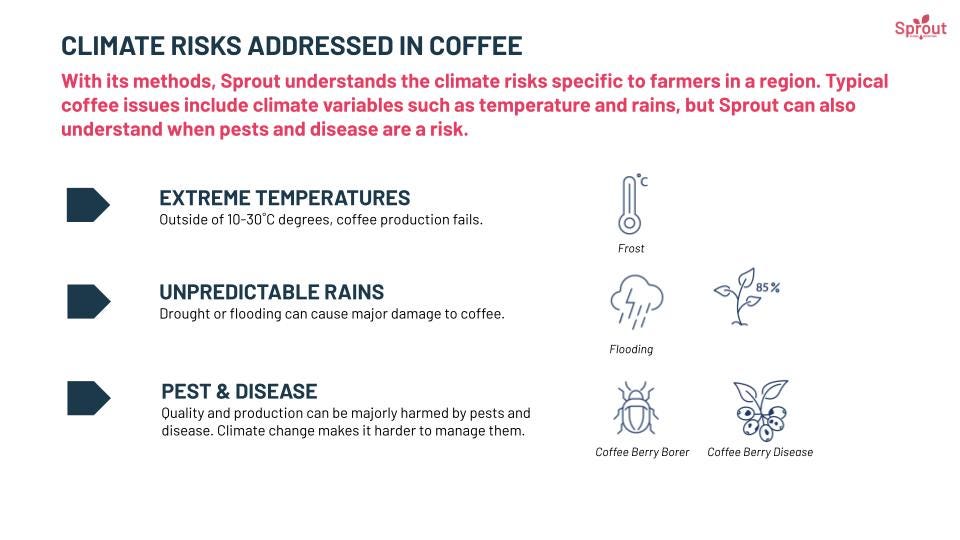 Major risks of climate change on coffee include extreme weather, unpredictable rains and pests and disease
