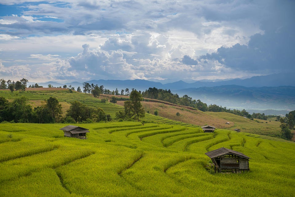 Best Places to Visit in Thailand: Top Travel Guide for Bangkok