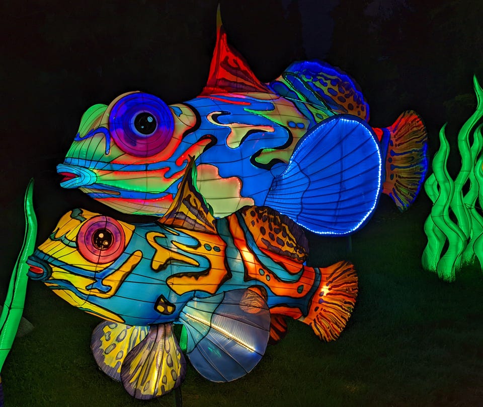 Psychedelic puffer fish at the Dragon Lights Festival (© April Orcutt)