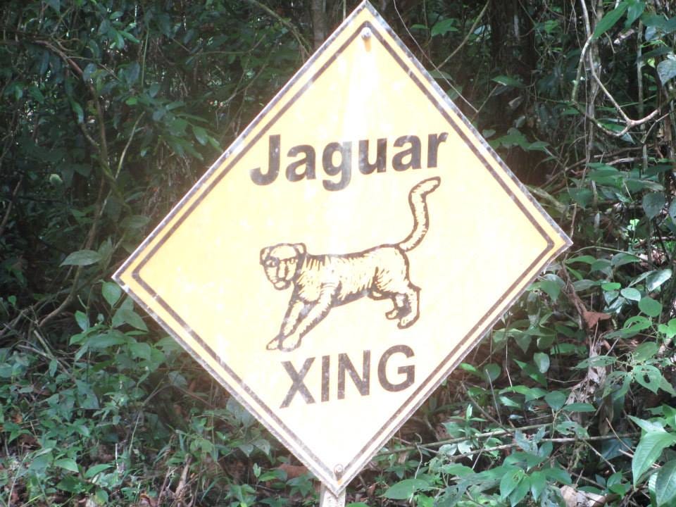 Yellow warning sign with a jaguar image in the middle and the words “Jaguar” and “Xing.”