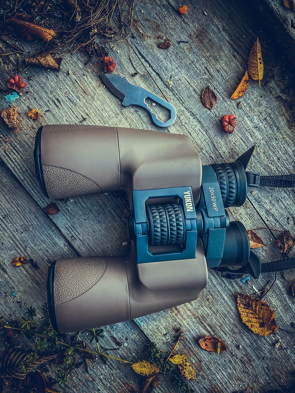 The Ultimate Guide to Choosing Binoculars