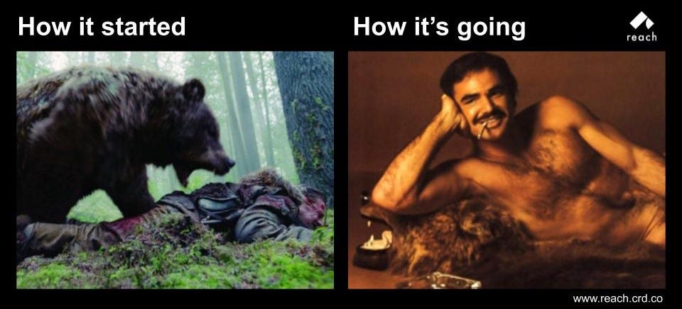 A humorous representation of my journey into dApp development. The picture captions “how it started” on the left with someone getting attacked by a bear to a caption of “how its going” on the right with a picture of someone lying on a bear rug