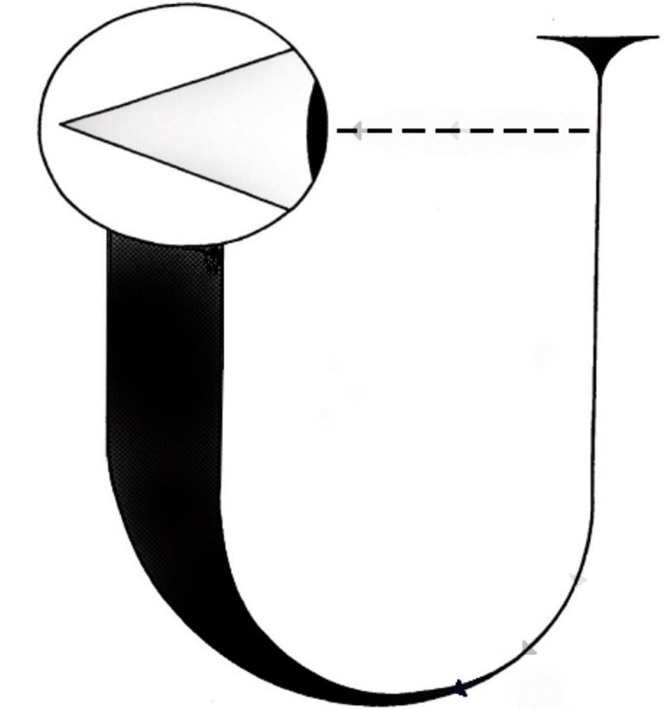 A large letter “U” for “Universe” juxtaposed with a large human eye icon, illustrating the Observer role in Quantum physics.