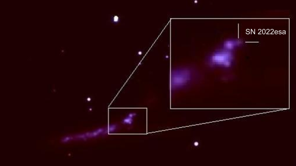 Supernova Caught Forming Black Hole Supernova Caught Forming Black Hole