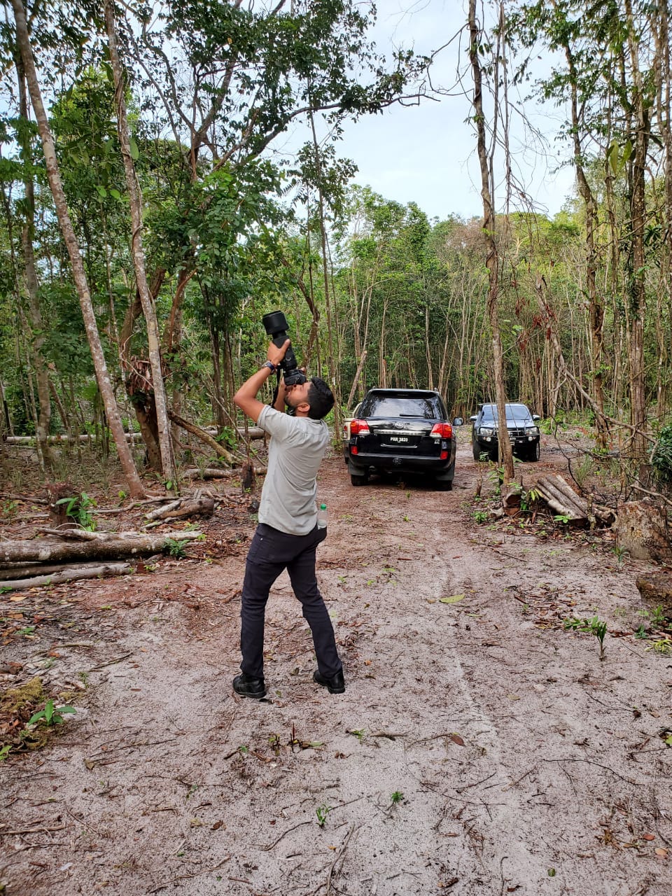 Photographing swallow-tailed kites in Guyana