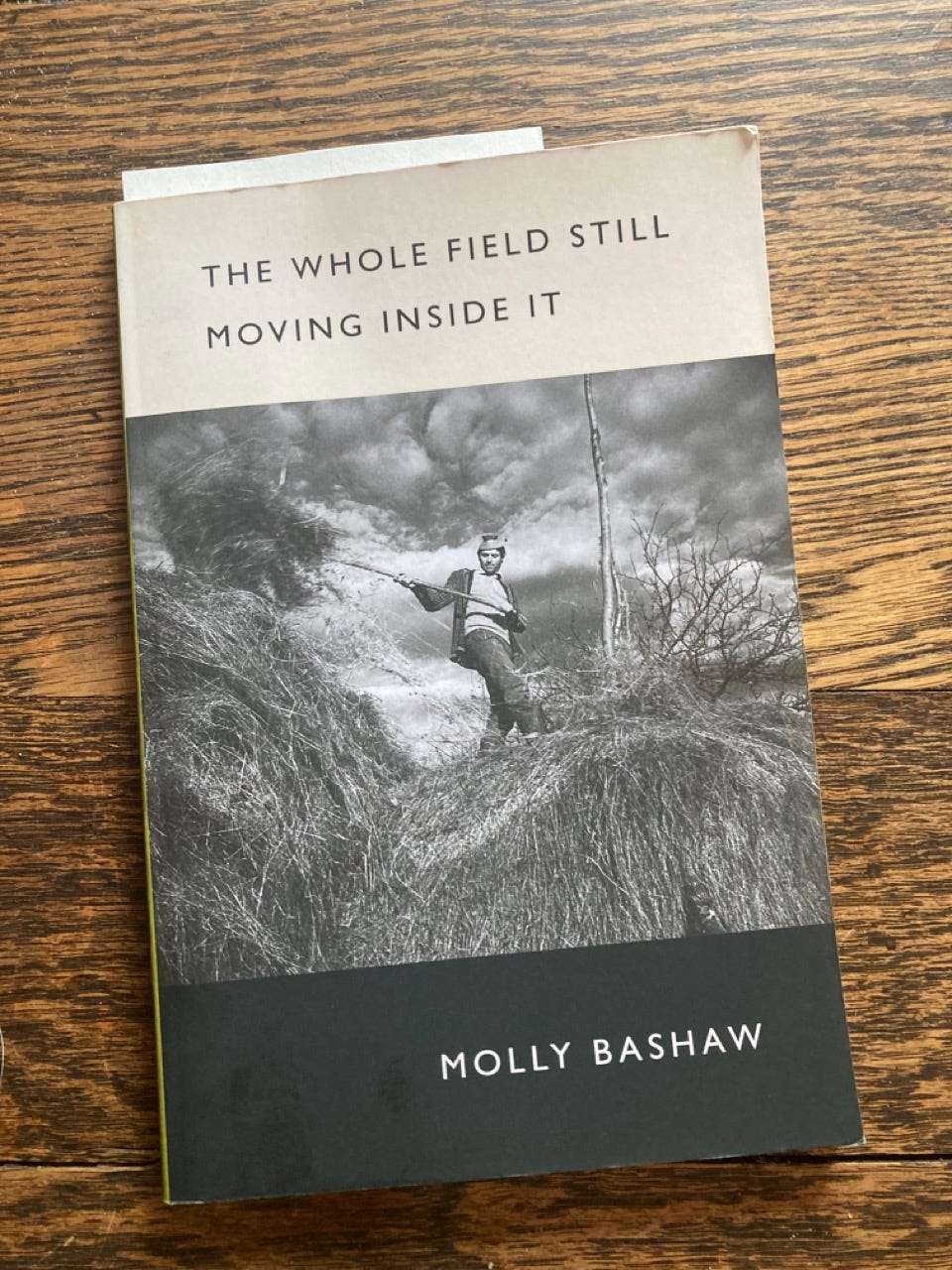 The Whole Field Still Moving Inside It—a poetry chapbook lying on a wooden table, its cover showing and black and white image of a man moving loose hay.