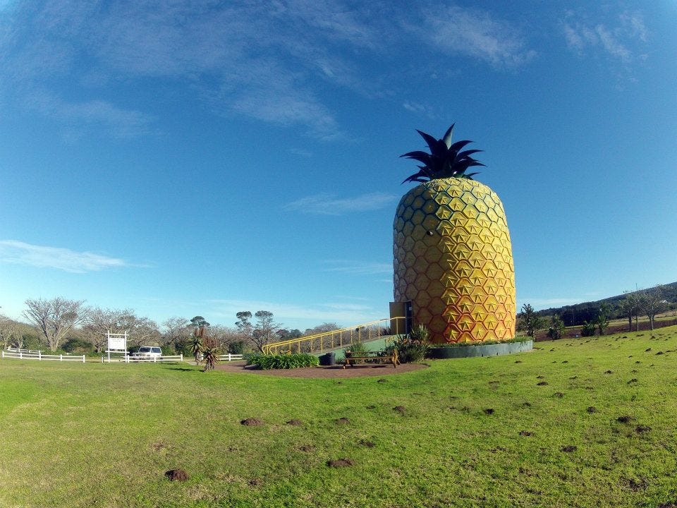 The Big Pineapple — Places to Visit in South Africa