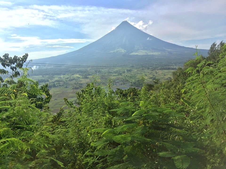 Daylight photo of tropical rainforest on a sunny day at foreground. In the background, the Mayon Volcano stands tall.