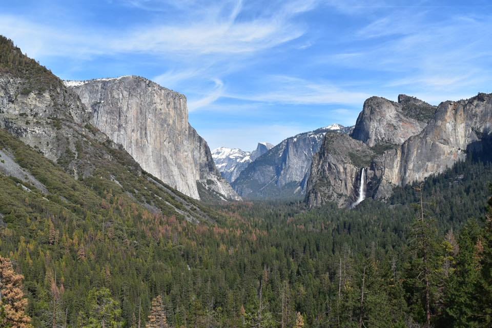 Figuring Forward at Yosemite National Park.