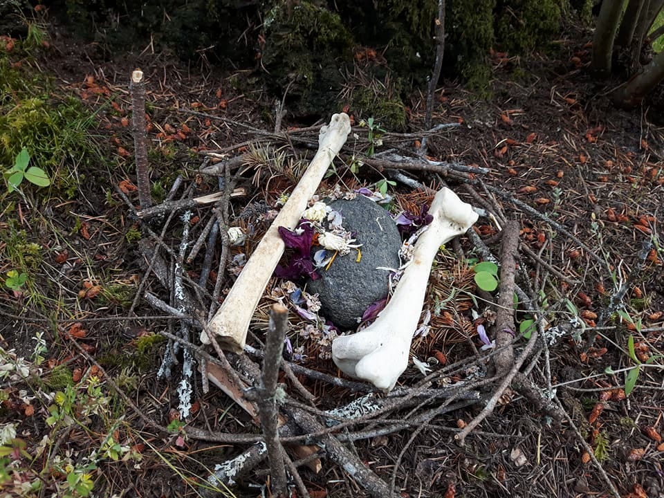 A nest of sticks on the forest floor holding a large stone and two bones with dried flowers sprinkled over them