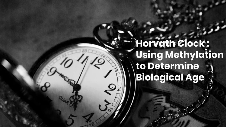 Examining the Horvath Clock and the Significance of Biological Age