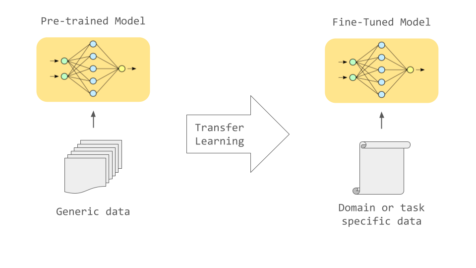 Fine Tuning Model Image