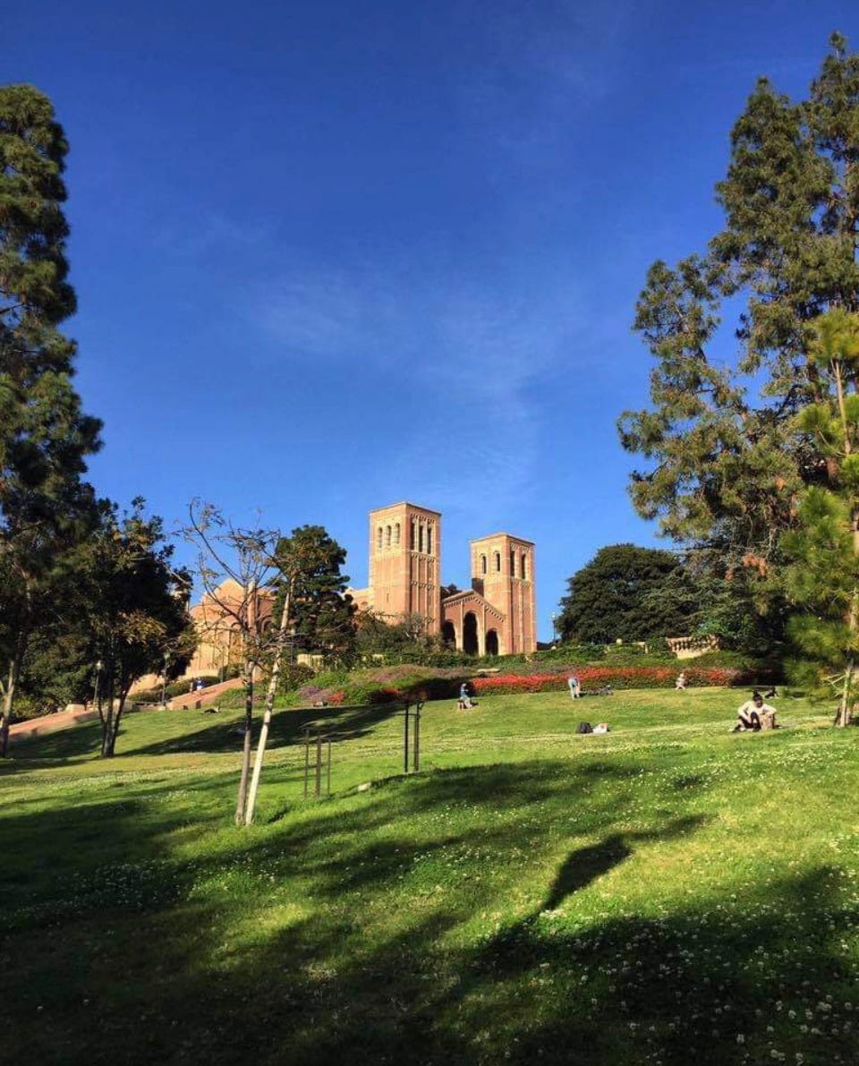 the garden area at UCLA, next too Janss Steps. you can see the two columns of Royce Hall poking up at the top of the hill, with a number of students dotting the grass, lying in the sun. the sky is blue and it’s a nice day at university