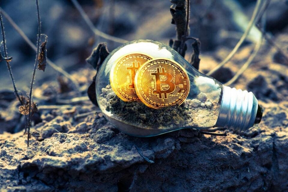 Lightbulb with Bitcoins