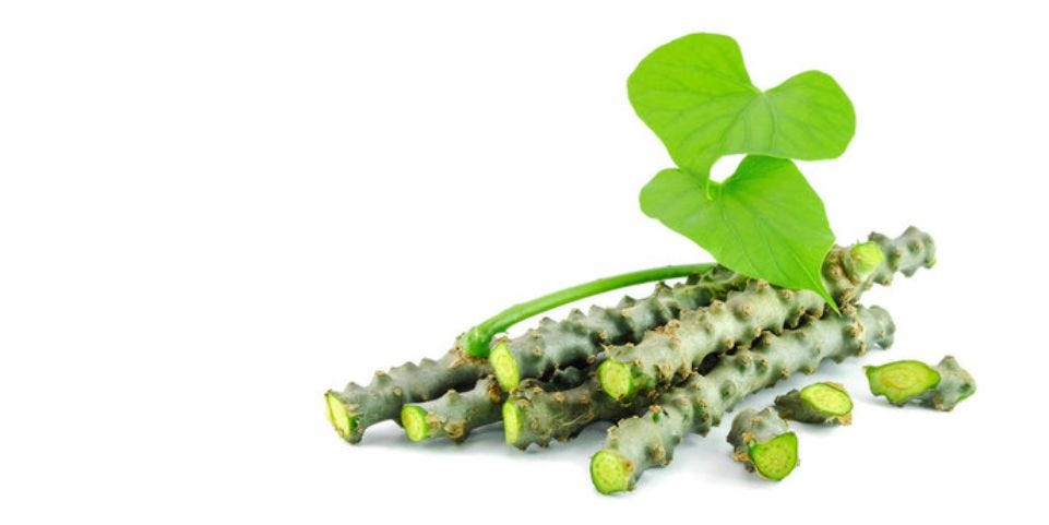 Natural Herbs Helps To Boost Immune System