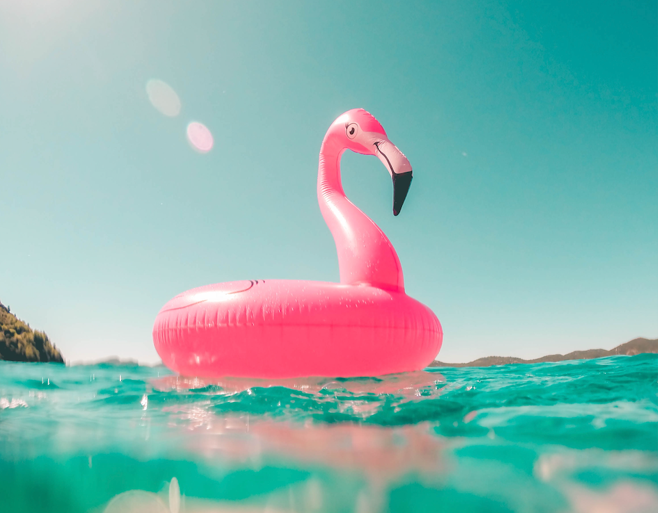 Pink inflatable flamingo floating on water