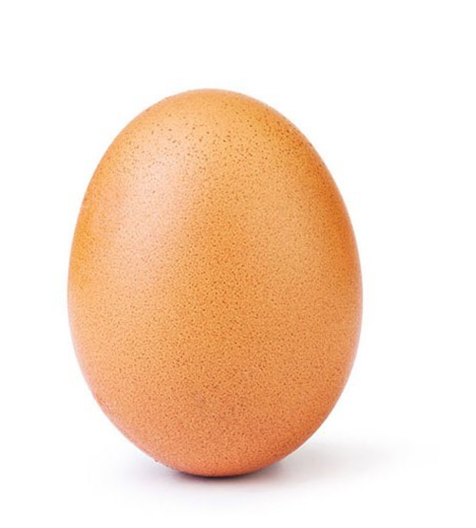 What Ever Happened to The World Record Egg That Cracked Instagram?