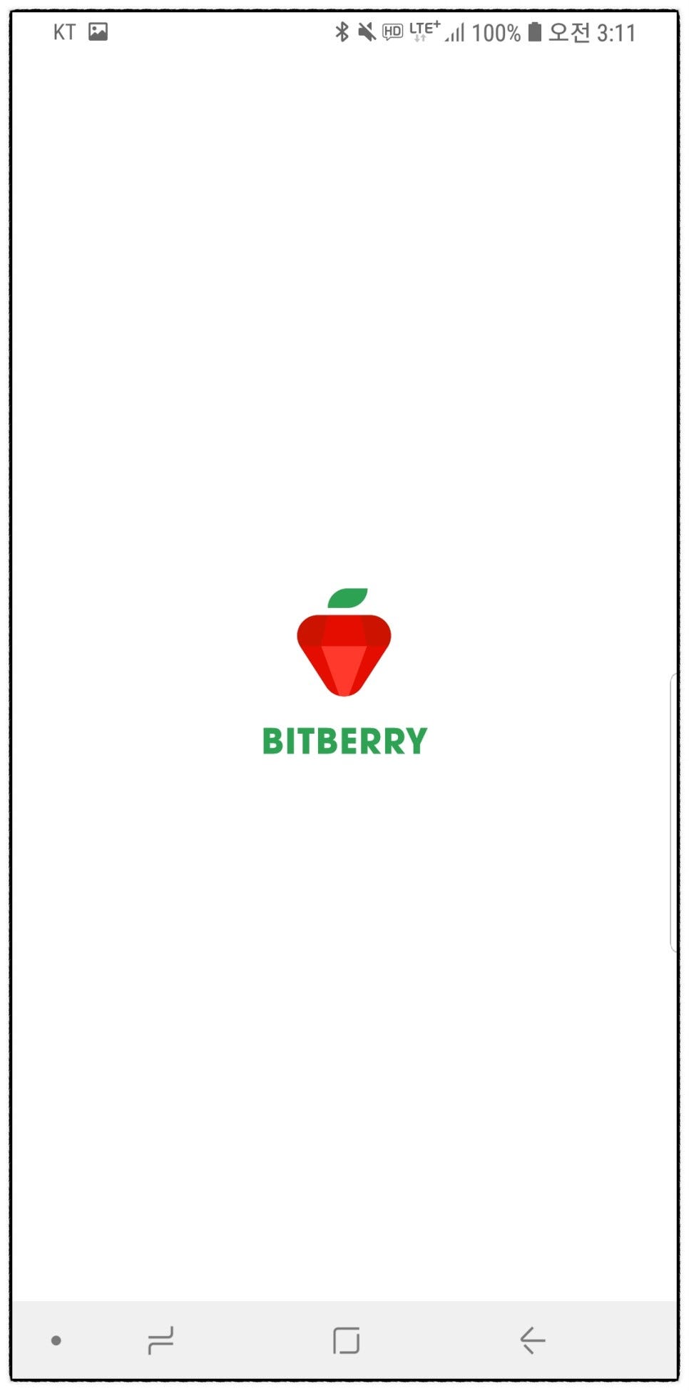 1. Bitberry Loading page