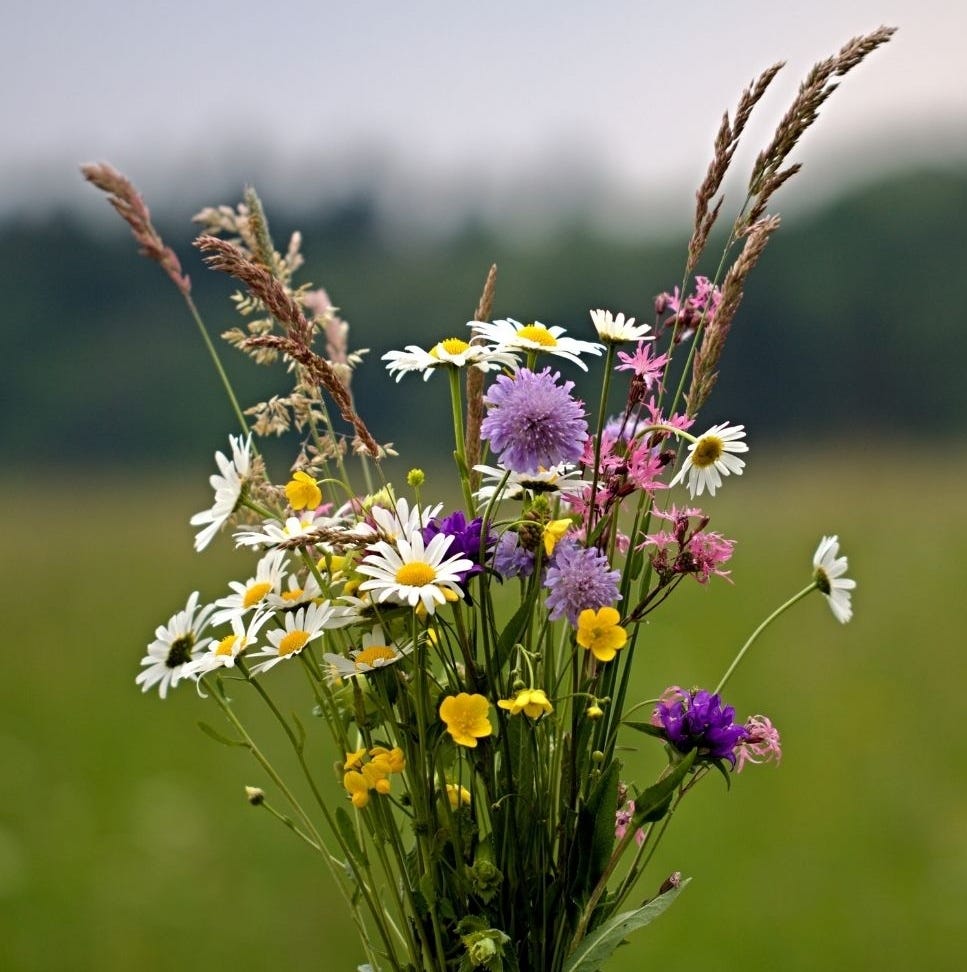 A bouquet of wildflowers — daisies, buttercups, clovers and grasses.