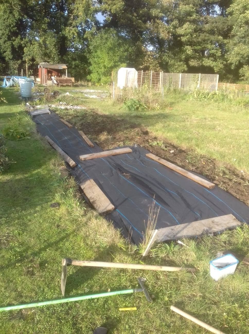 Picture of an allotment garden which needs a lot of work.