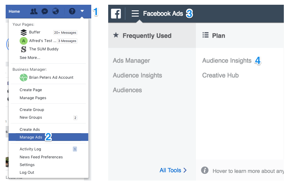 Navigating to Audience Insights