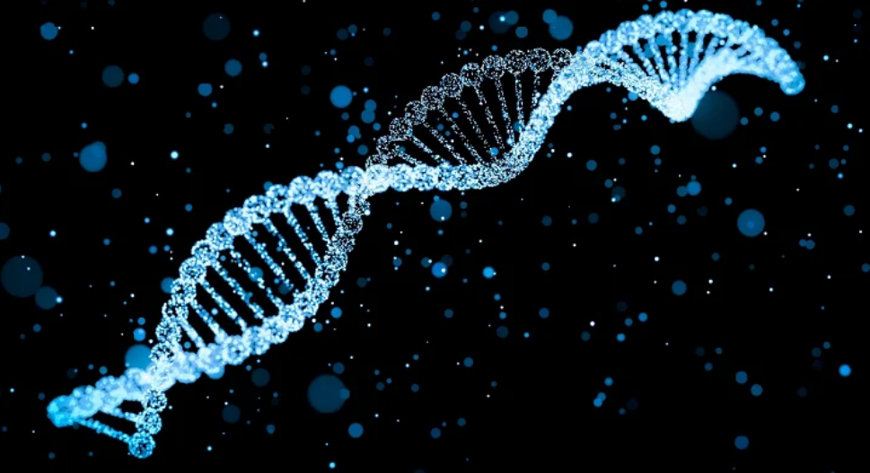 ДНК — Язык жизни