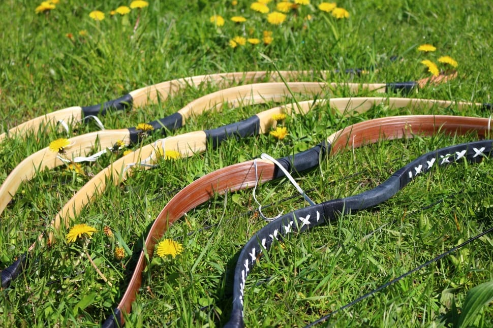 best recurve bows for beginners