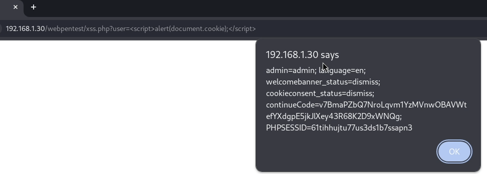 XSS types and basic examples for beginners
