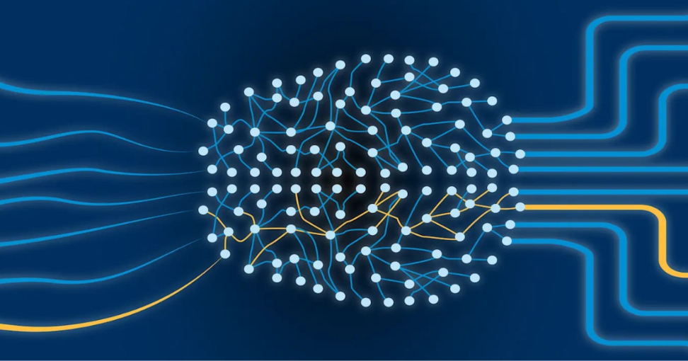 Diving into Deep Learning