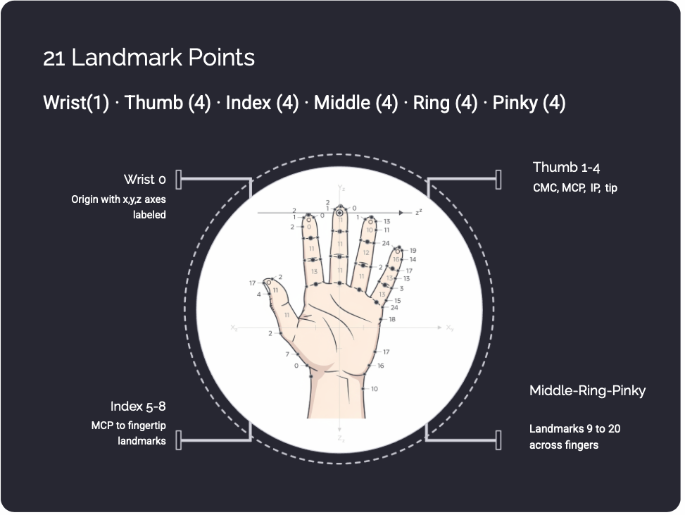 We Built a Real-Time ASL Translator That Runs on a Laptop. No GPU. No Cloud. No Gloves.