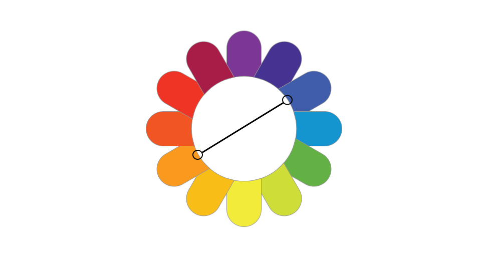 Illustration of a complementary design scheme on our flower color wheel.