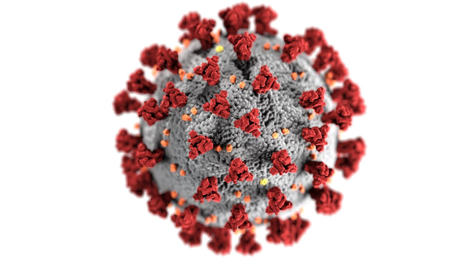 a grey sphere with red spikes, representing a coronavirus