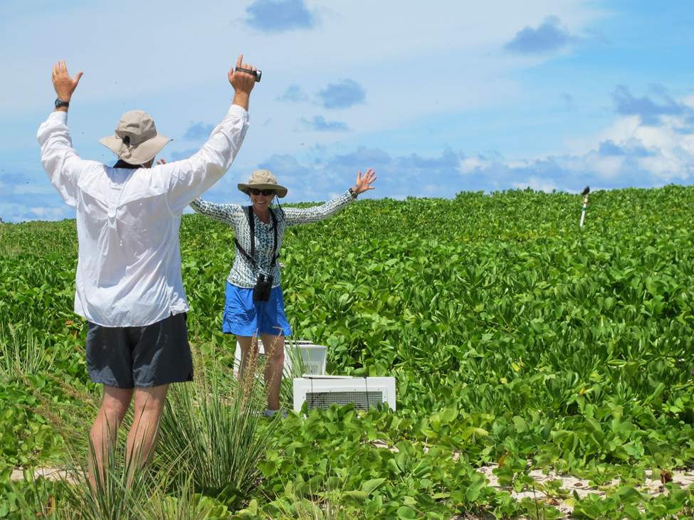 Two people celebrating, standing in green coastal vegetation under blue skies.