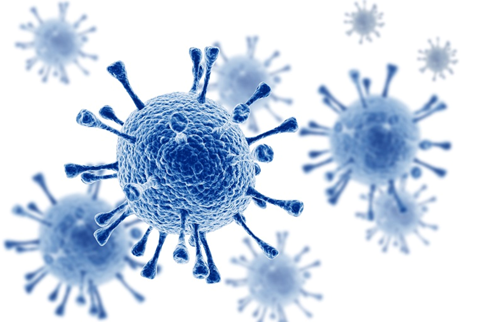 blue viruses