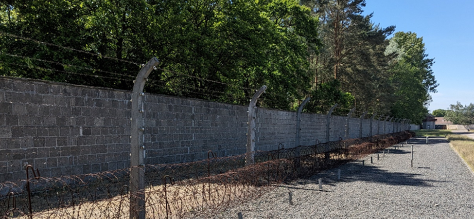 A cinderblock wall, plus an electrified barbed wire fence with a roll barbed wire at the foot.