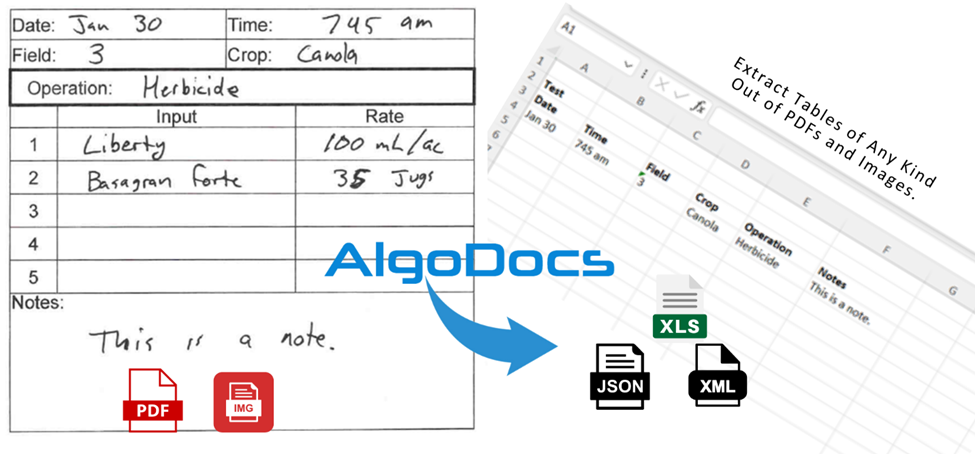 AlgoDocs: Your AI Data Extraction Partner