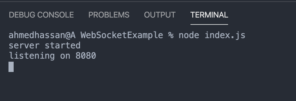 View in the VS Code Terminal