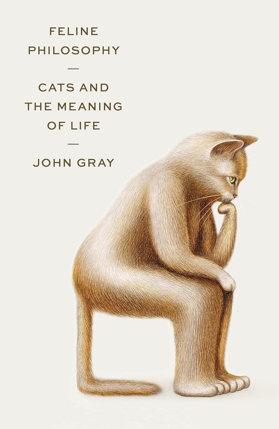 A thinking feline of book cover, by John Gray