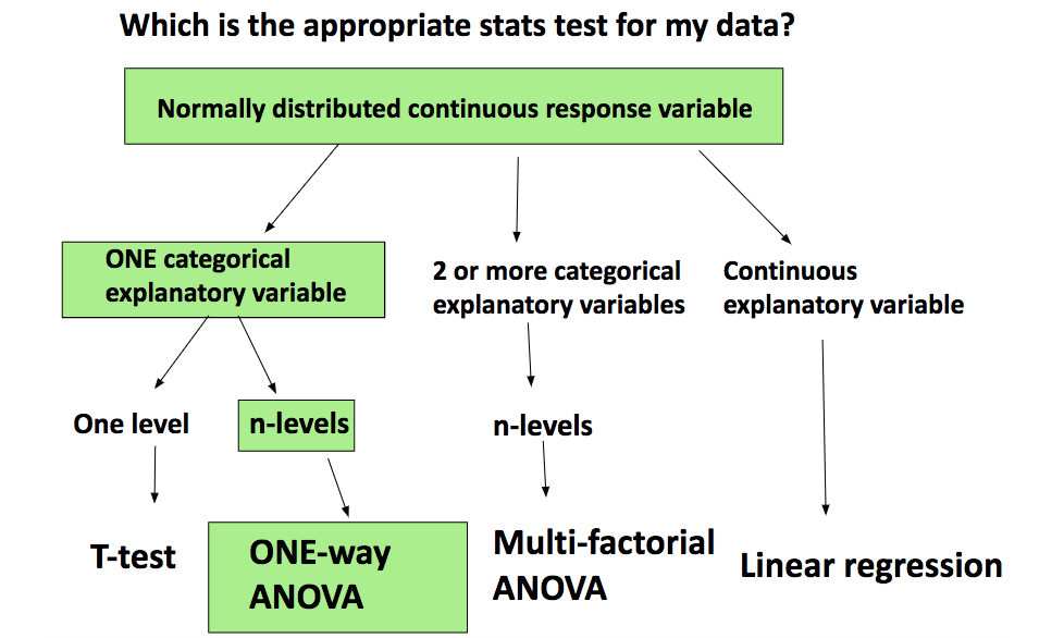 In depth Introduction Of Analysis Of Variance ANOVA With R Examples 