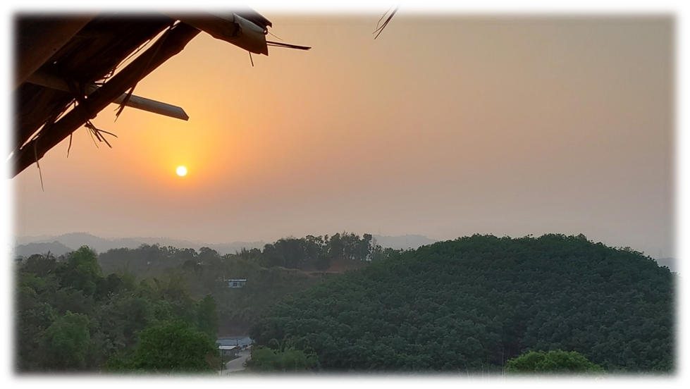 A glorious view of the sunset from under a straw-filled roof.