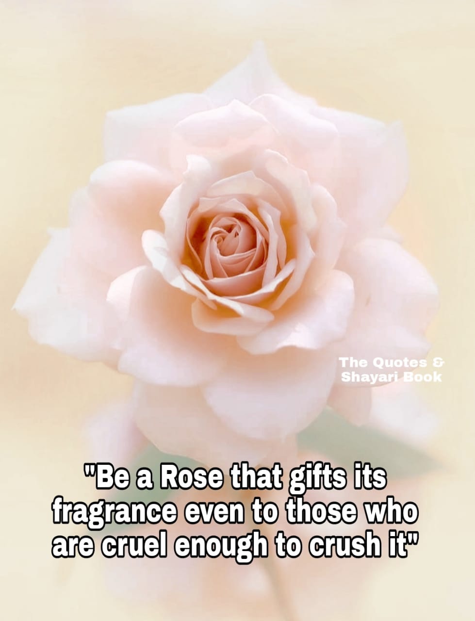 Rose-Day-Quotes-for-Friendship