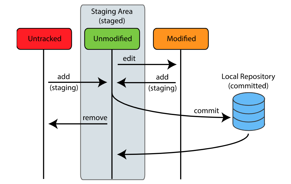 A picture showing the different states in git